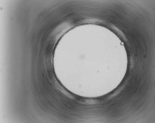 X0000086331322200704271932