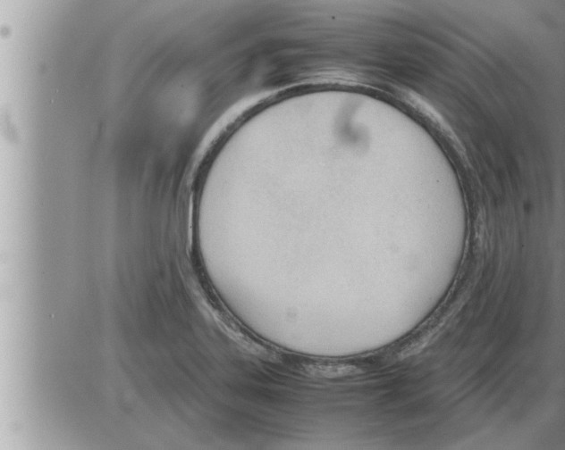 X0000086331323200704271932