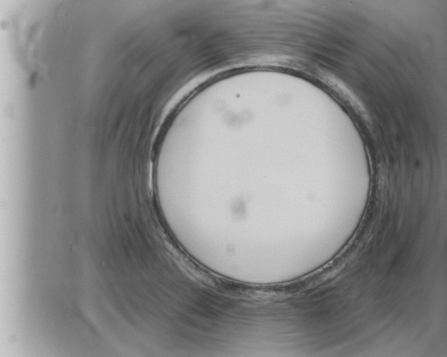 X0000086331324200704271932