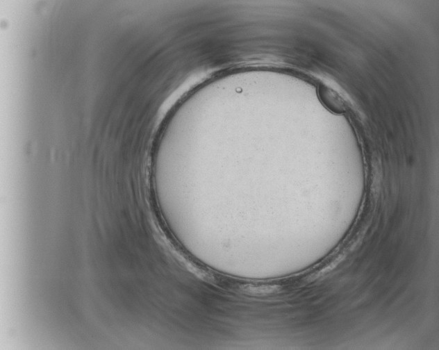 X0000086331325200704271932