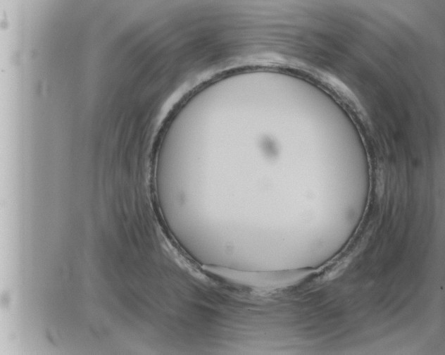 X0000086331326200704271932