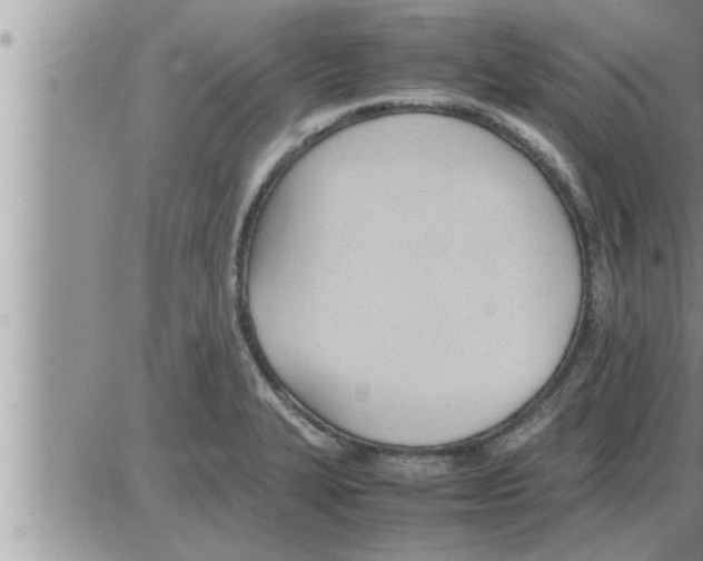 X0000086331327200704271932