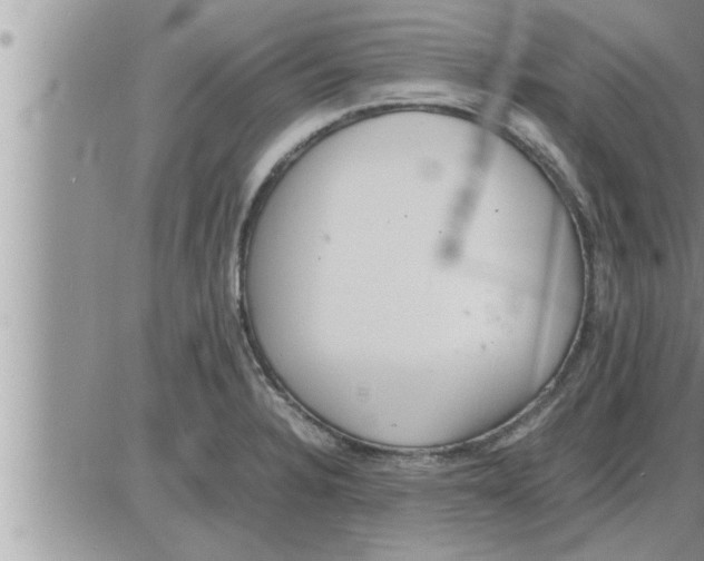 X0000086331328200704271932