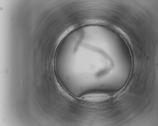 X0000086331330200704271932