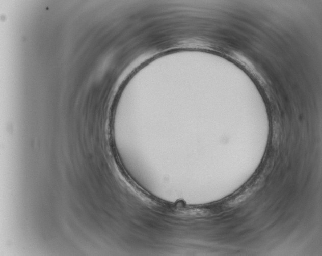 X0000086331331200704271932