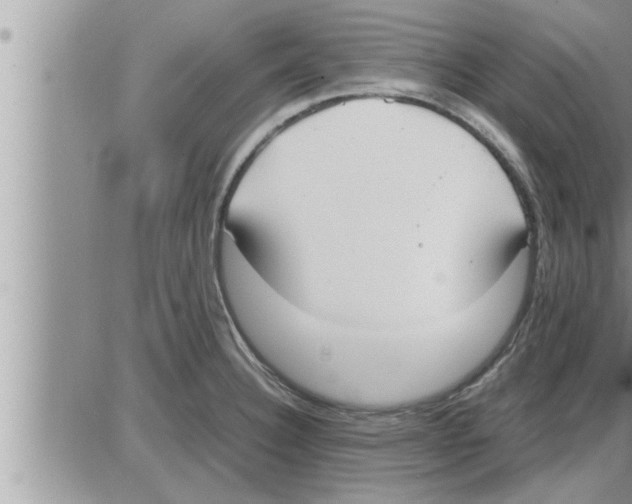 X0000086331332200704271932