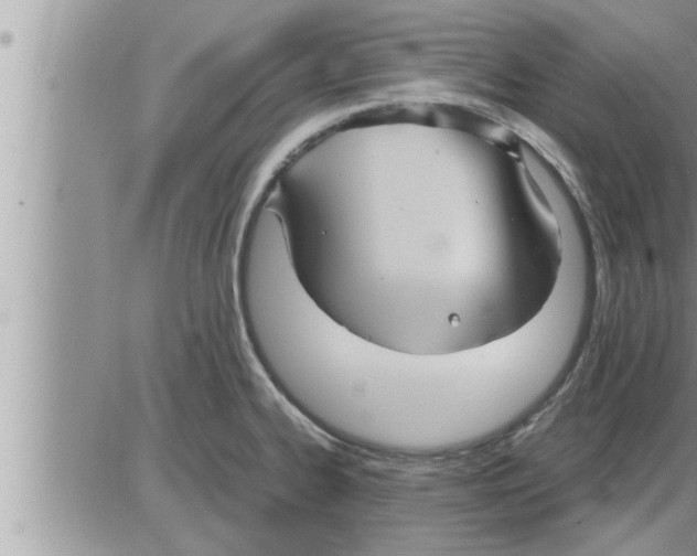 X0000086331334200704271932