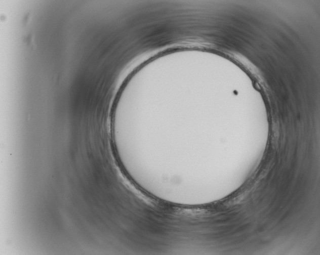 X0000086331335200704271932