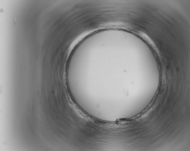 X0000086331336200704271932