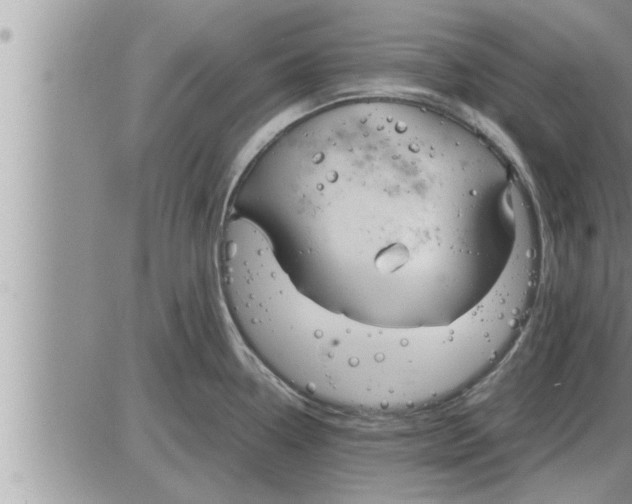 X0000086331338200704271933