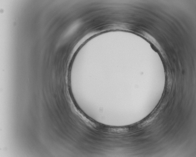 X0000086331339200704271933