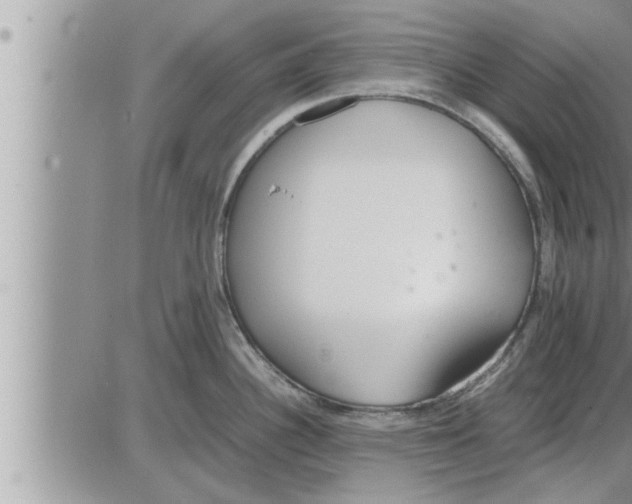 X0000086331340200704271933