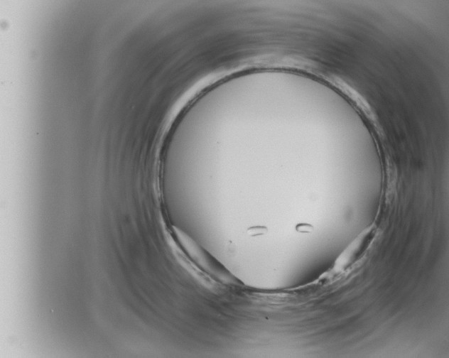 X0000086331342200704271933