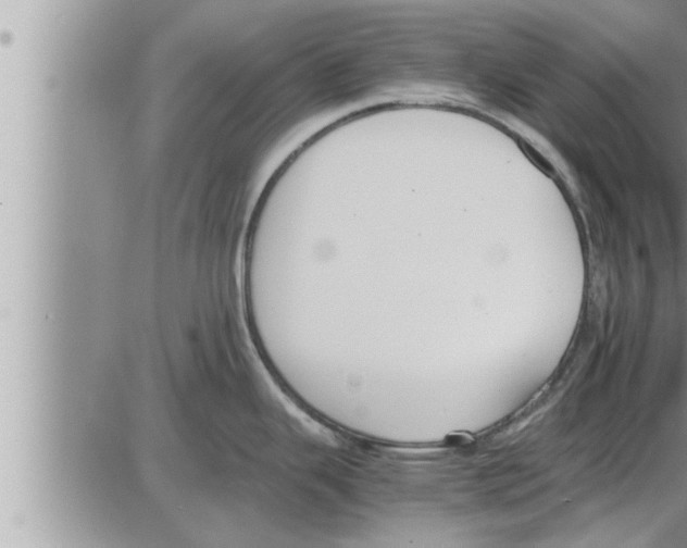 X0000086331343200704271933