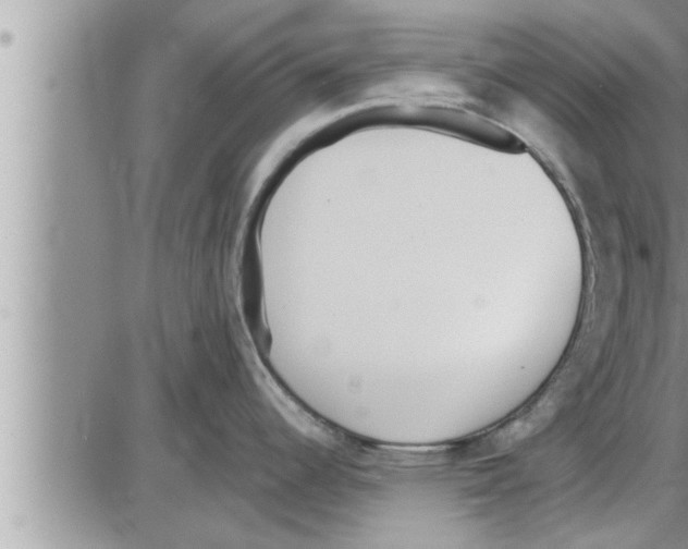 X0000086331344200704271933