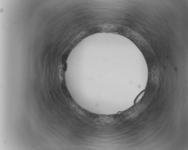 X0000086331346200704271932