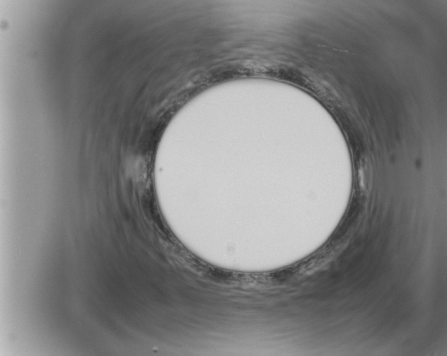 X0000086331347200704271932