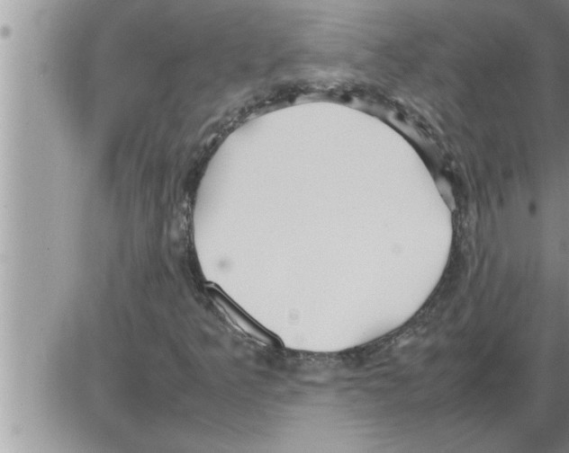 X0000086331349200704271932