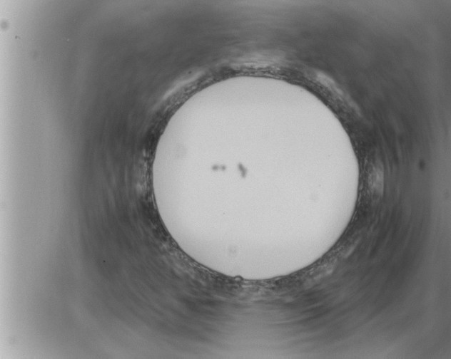 X0000086331350200704271932