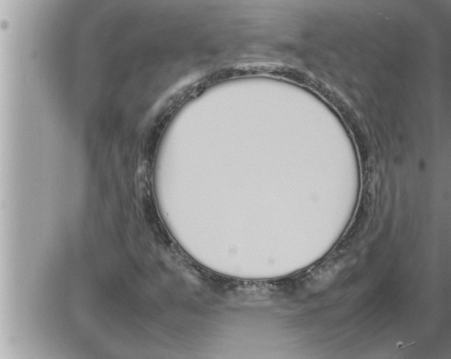 X0000086331351200704271932