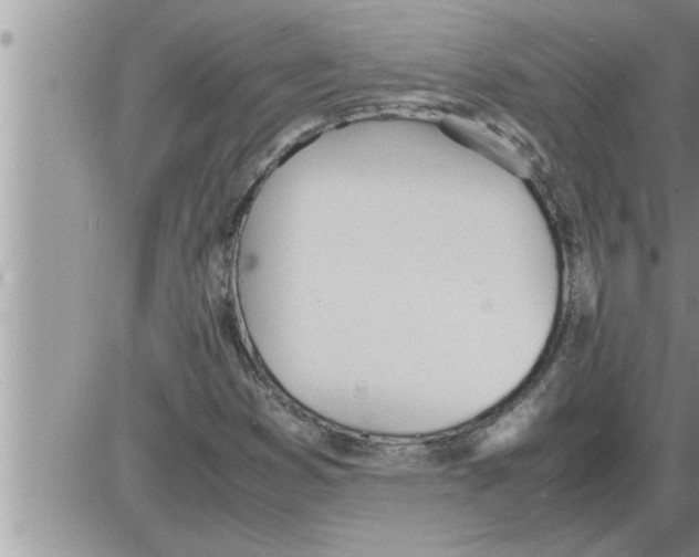 X0000086331353200704271932