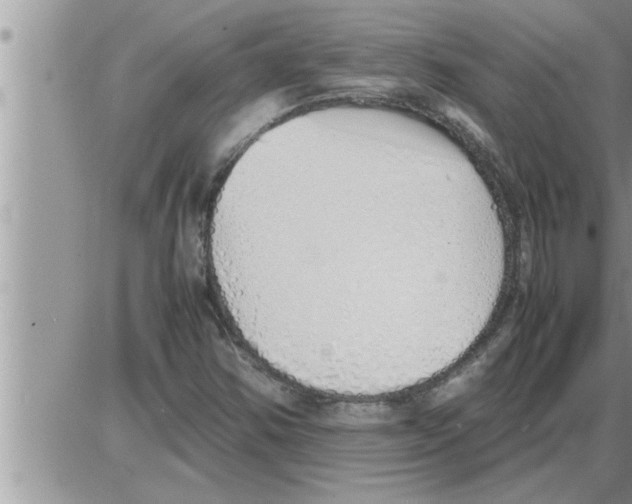 X0000086331354200704271932