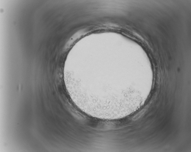 X0000086331355200704271932