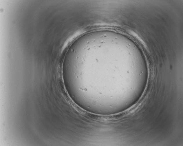 X0000086331357200704271932