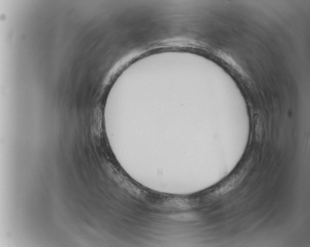 X0000086331358200704271932