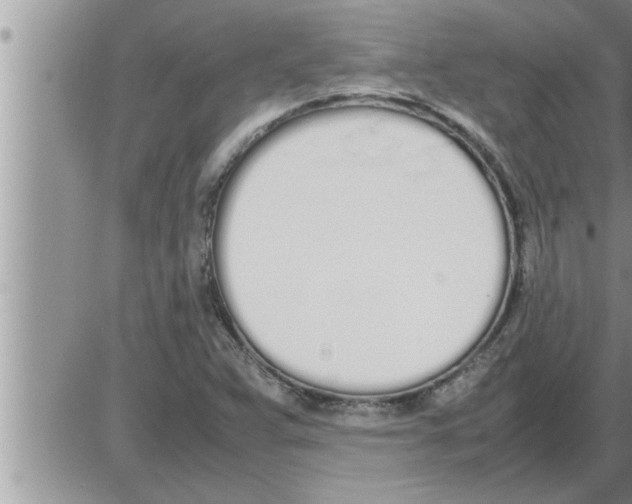 X0000086331359200704271932