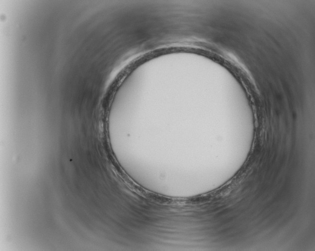 X0000086331360200704271932