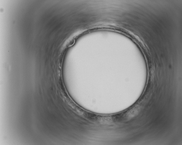 X0000086331363200704271932