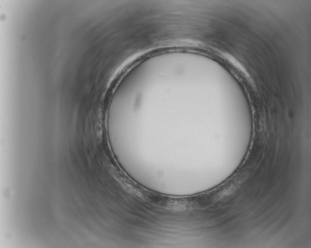 X0000086331364200704271932