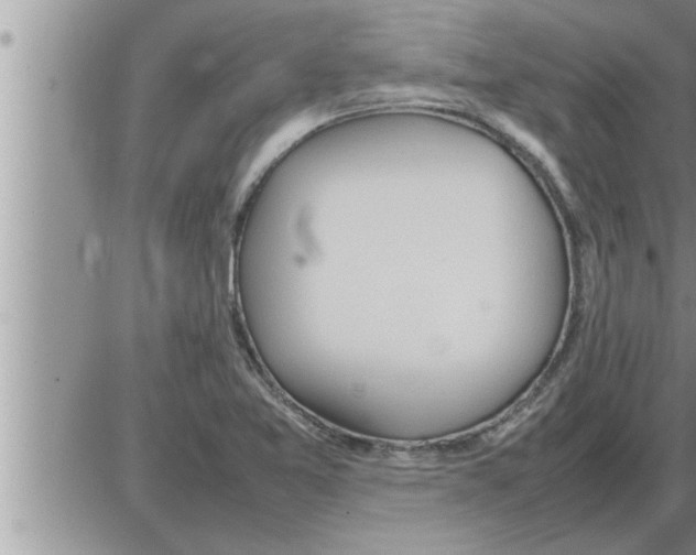 X0000086331365200704271932