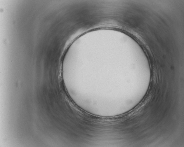 X0000086331366200704271931