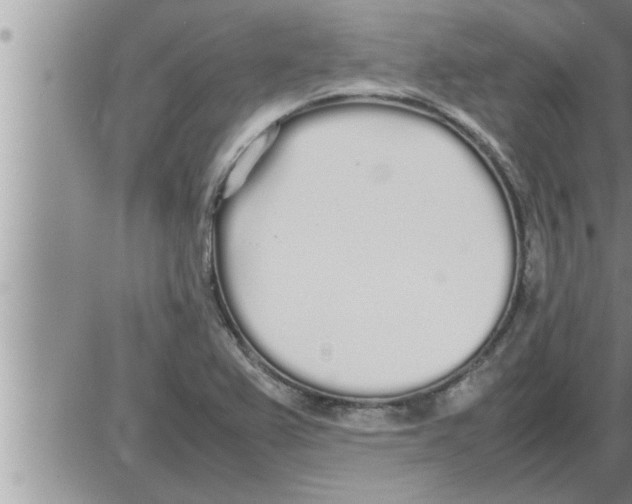 X0000086331367200704271931