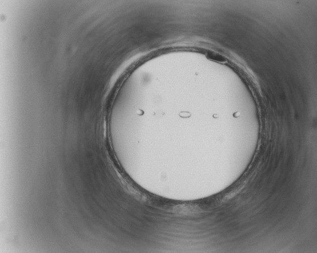 X0000086331368200704271931