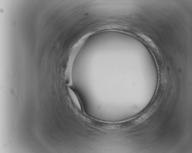 X0000086331369200704271931