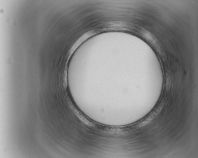 X0000086331370200704271931