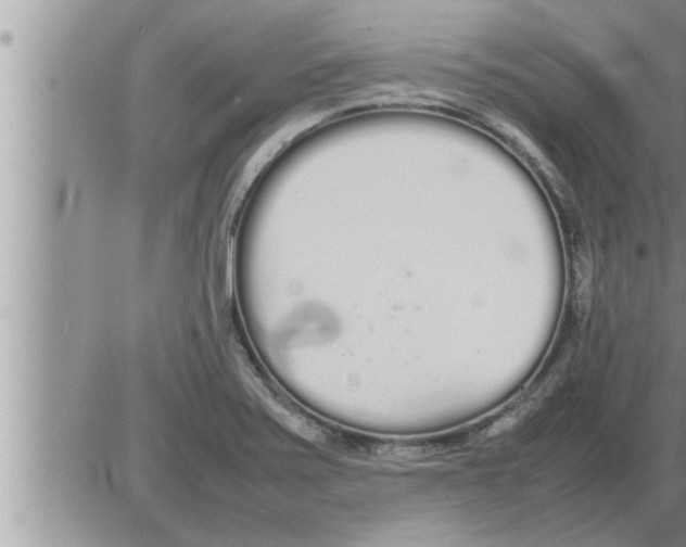 X0000086331371200704271931