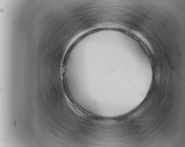 X0000086331372200704271931