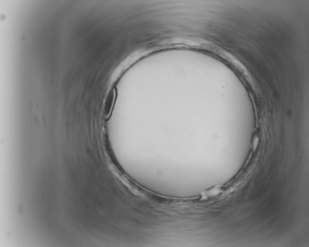 X0000086331373200704271931