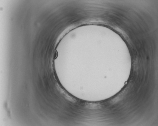 X0000086331374200704271931