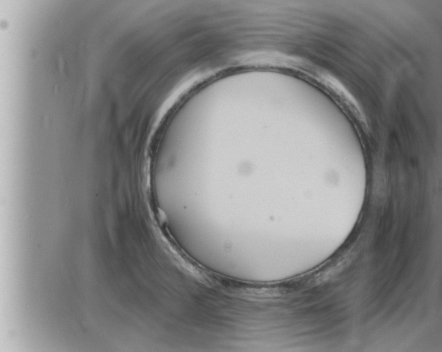 X0000086331376200704271931