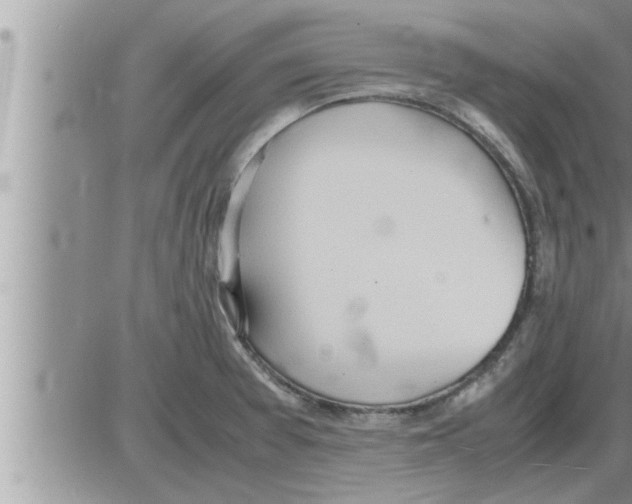 X0000086331377200704271931