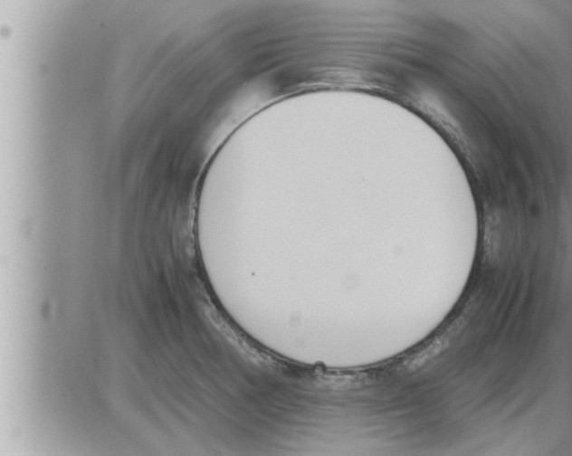 X0000086331378200704271931