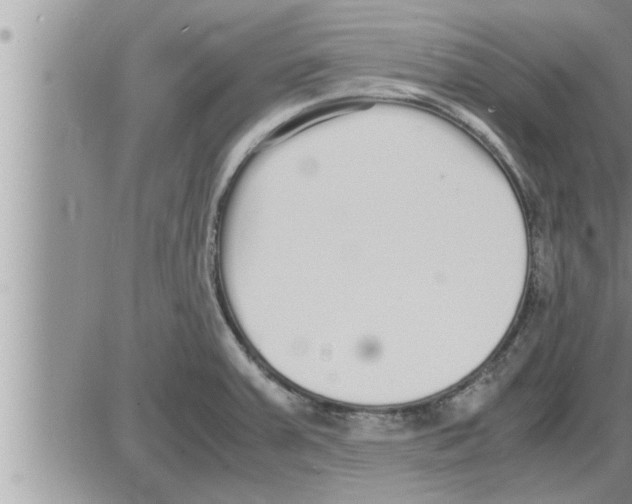 X0000086331379200704271931