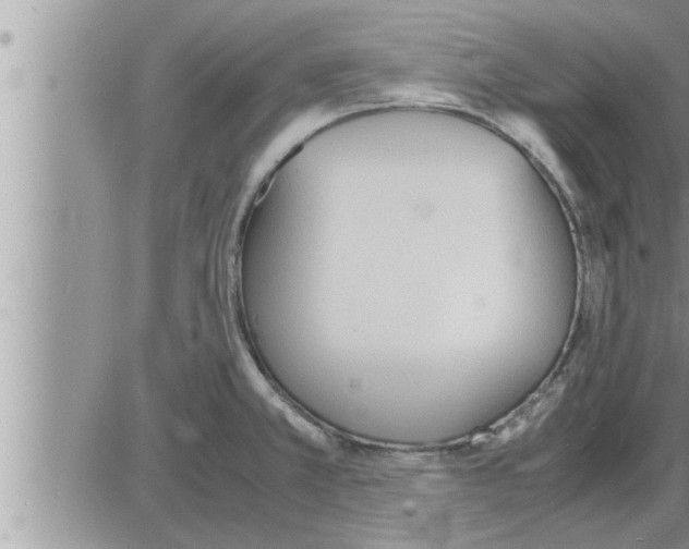 X0000086331381200704271931