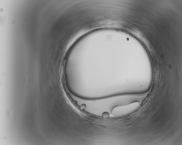 X0000086331383200704271931