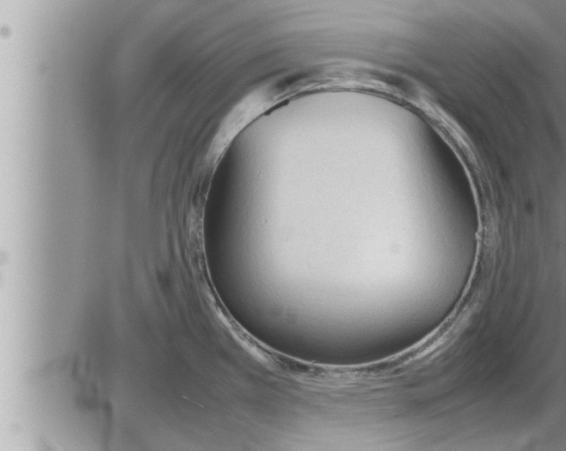 X0000086331385200704271931